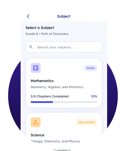 Chapter-wise Learning UI